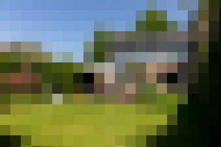 Groenestraat 6 a Rheden thumbnail 22