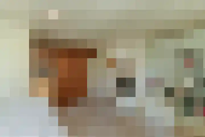 Groenestraat 6 Lathum thumbnail 17
