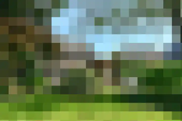 Groenestraat 6 Lathum thumbnail 27