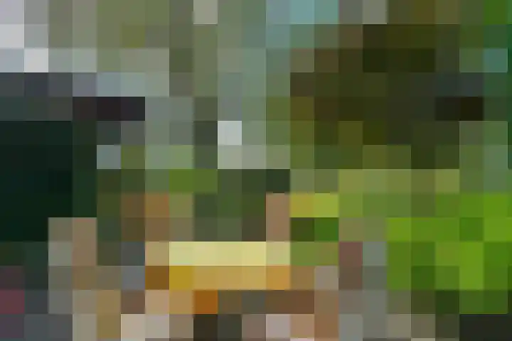 Groenestraat 6 Lathum thumbnail 30
