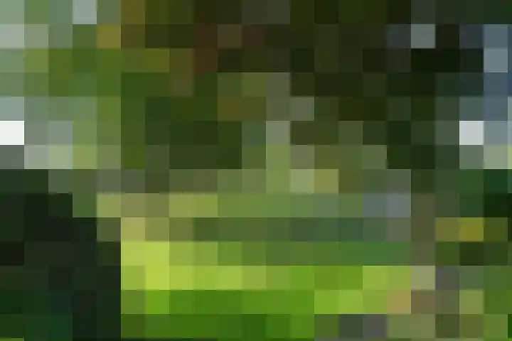 Groenestraat 6 Lathum thumbnail 31