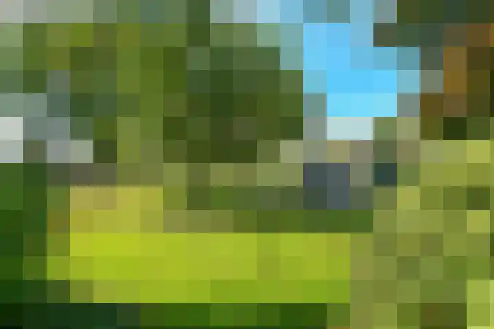 Groenestraat 6 Lathum thumbnail 32