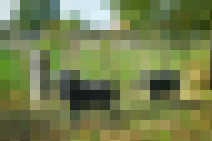 Groenestraat 6 Lathum thumbnail 35