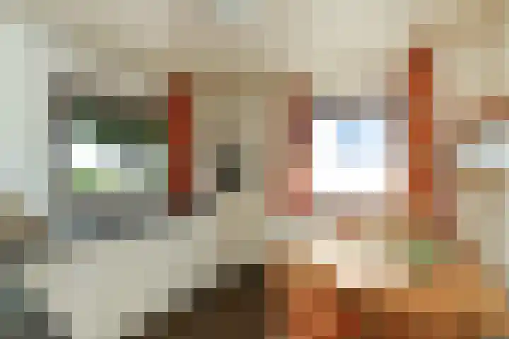 Groenestraat 6 Lathum thumbnail 4