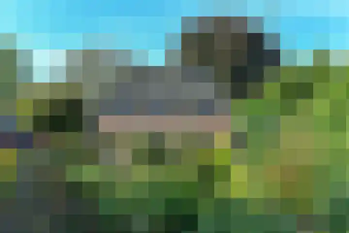 Groenestraat 6 Lathum thumbnail 47