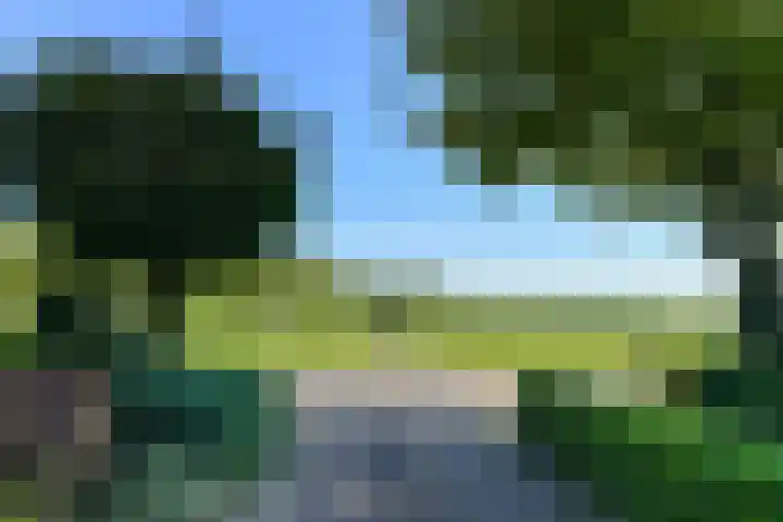 Groenestraat 6 Lathum thumbnail 5