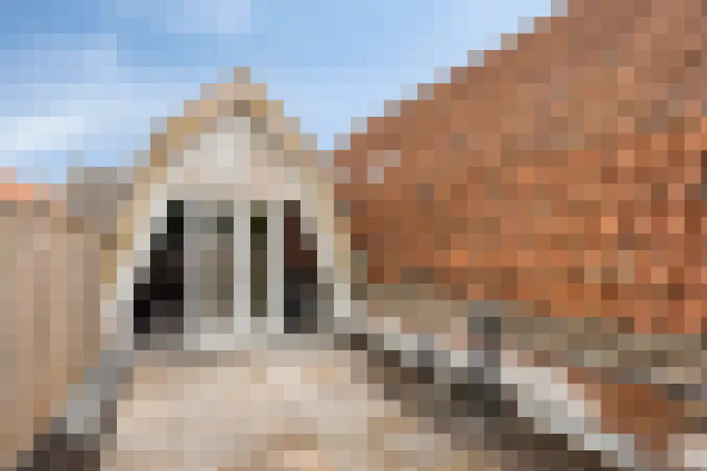 Groenestraat 78 Kampen thumbnail 25