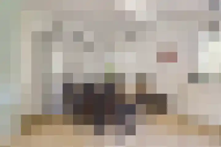 Groenestraat 9 Ophemert thumbnail 11