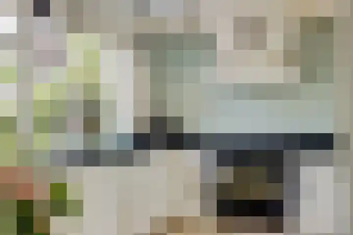 Groenestraat 9 Ophemert thumbnail 13
