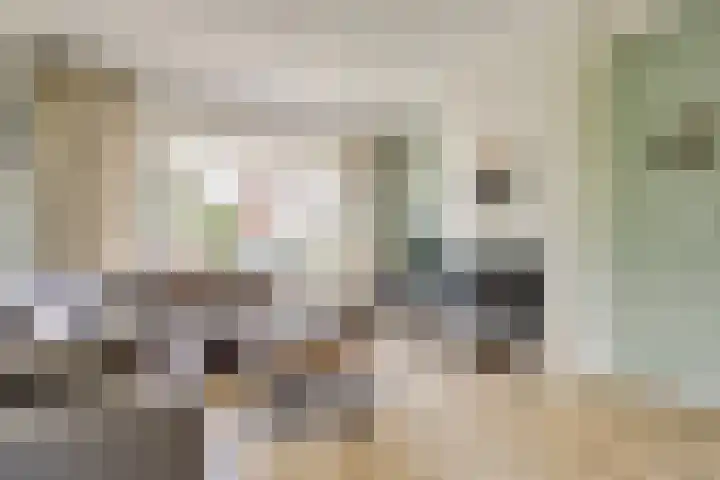 Groenestraat 9 Ophemert thumbnail 17