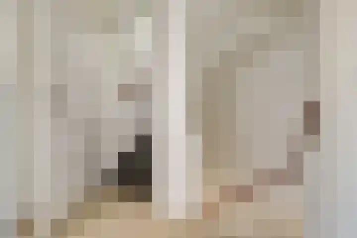 Groenestraat 9 Ophemert thumbnail 22