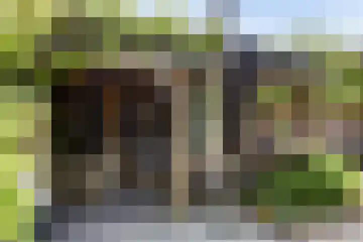 Groenestraat 9 Ophemert thumbnail 36