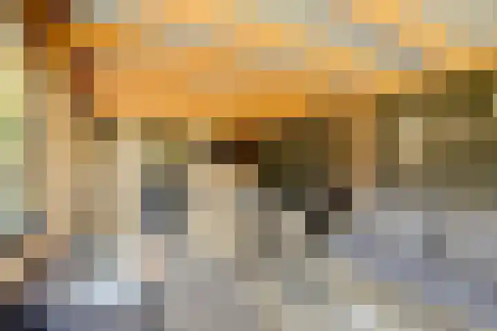 Groenestraat 9 Ophemert thumbnail 38