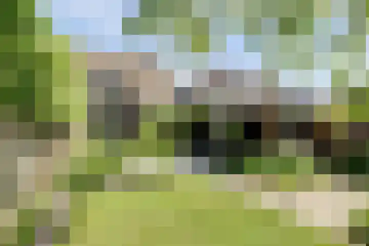 Groenestraat 9 Ophemert thumbnail 40