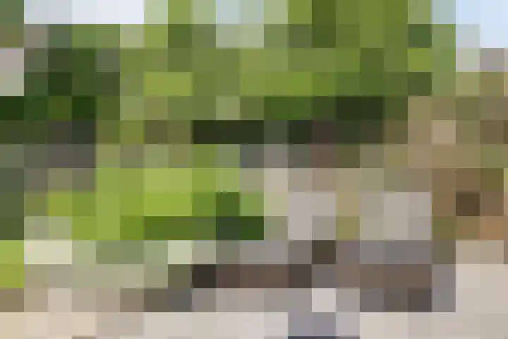 Groenestraat 9 Ophemert thumbnail 41