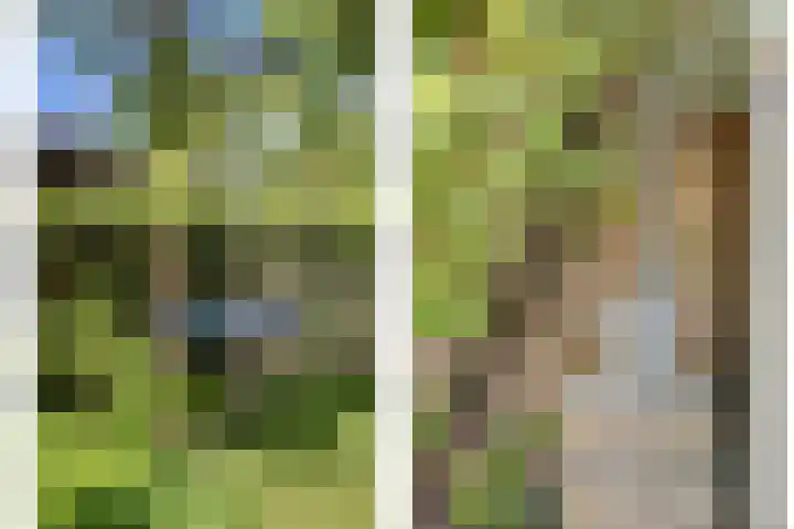 Groenestraat 9 Ophemert thumbnail 42