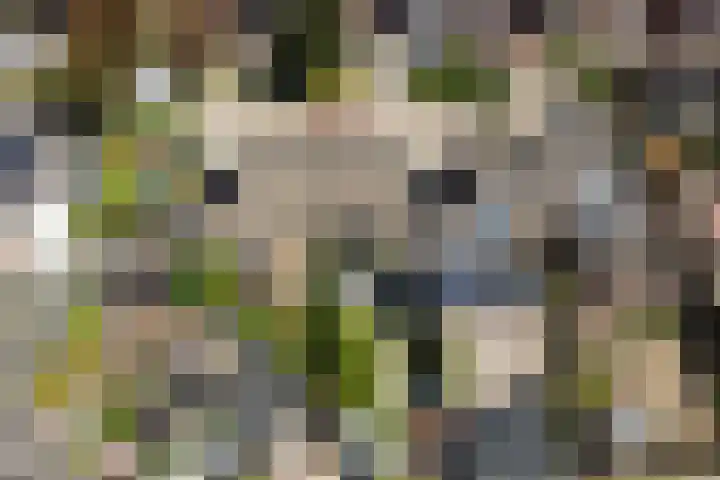 Groenestraat 9 Ophemert thumbnail 43