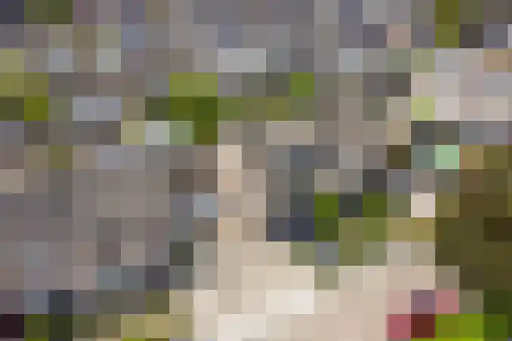 Groenestraat 9 Ophemert thumbnail 49