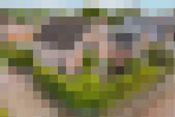 Groenestraatje 13 in Deventer