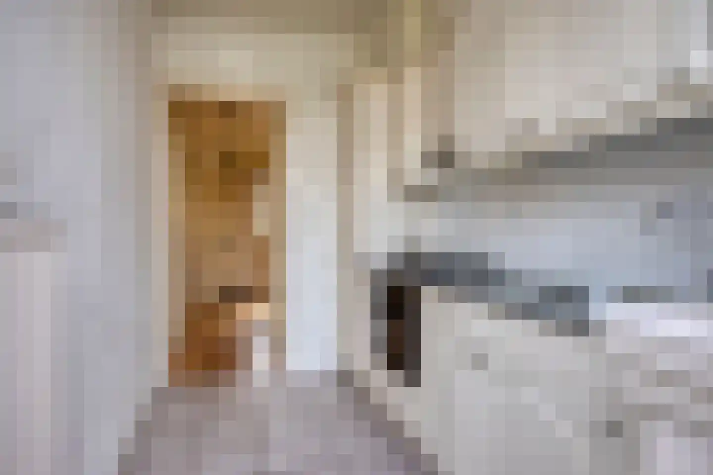 Groenestraatje 4 Deventer thumbnail 11