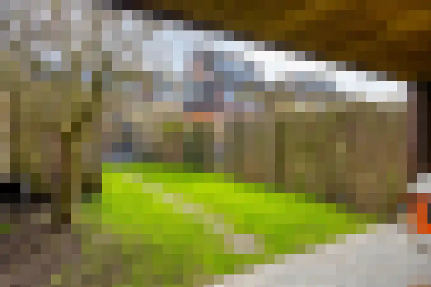 Groenestraatje 4 Deventer thumbnail 27