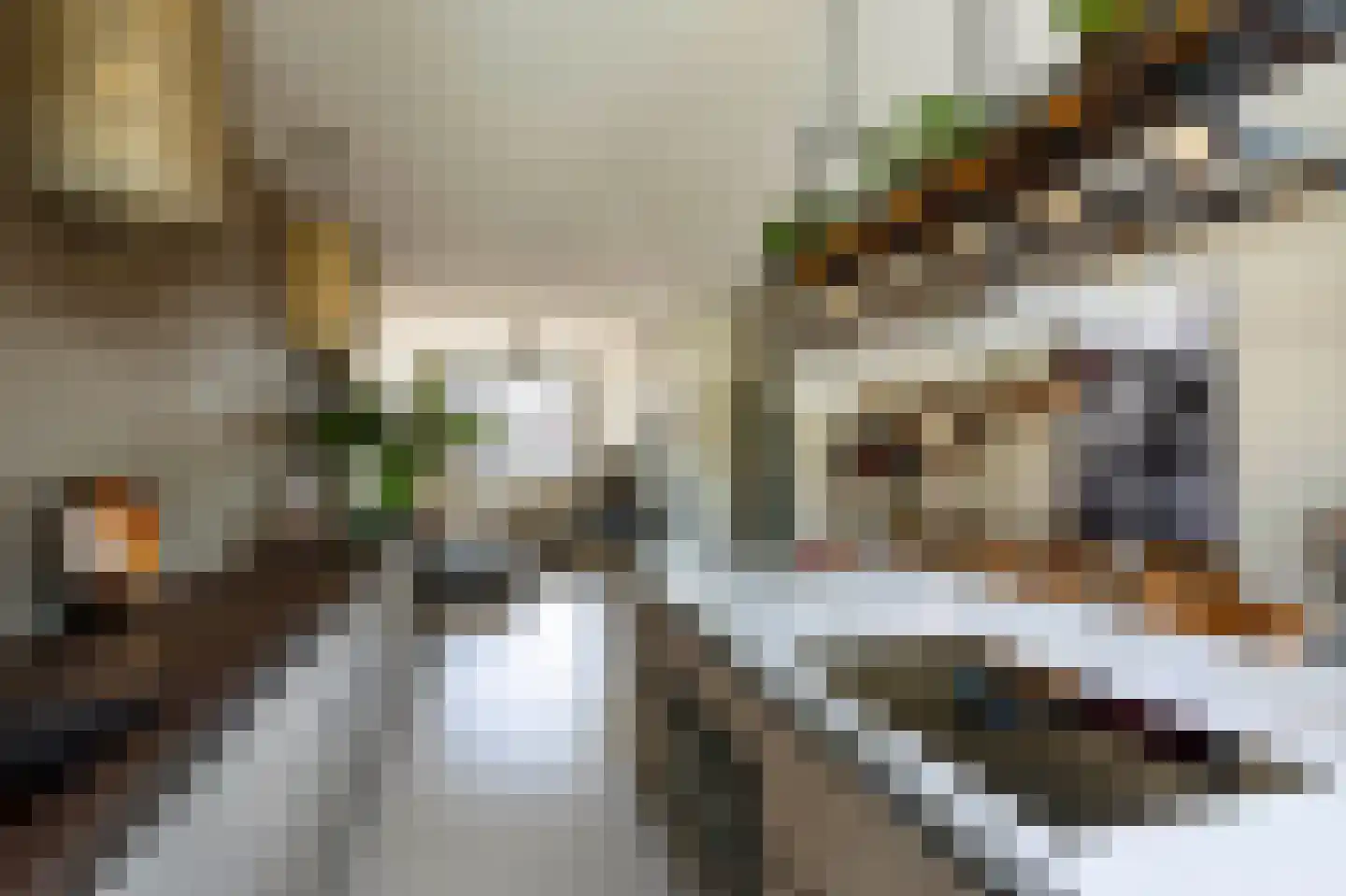 Groenevechtkade 12 Weesp thumbnail 10
