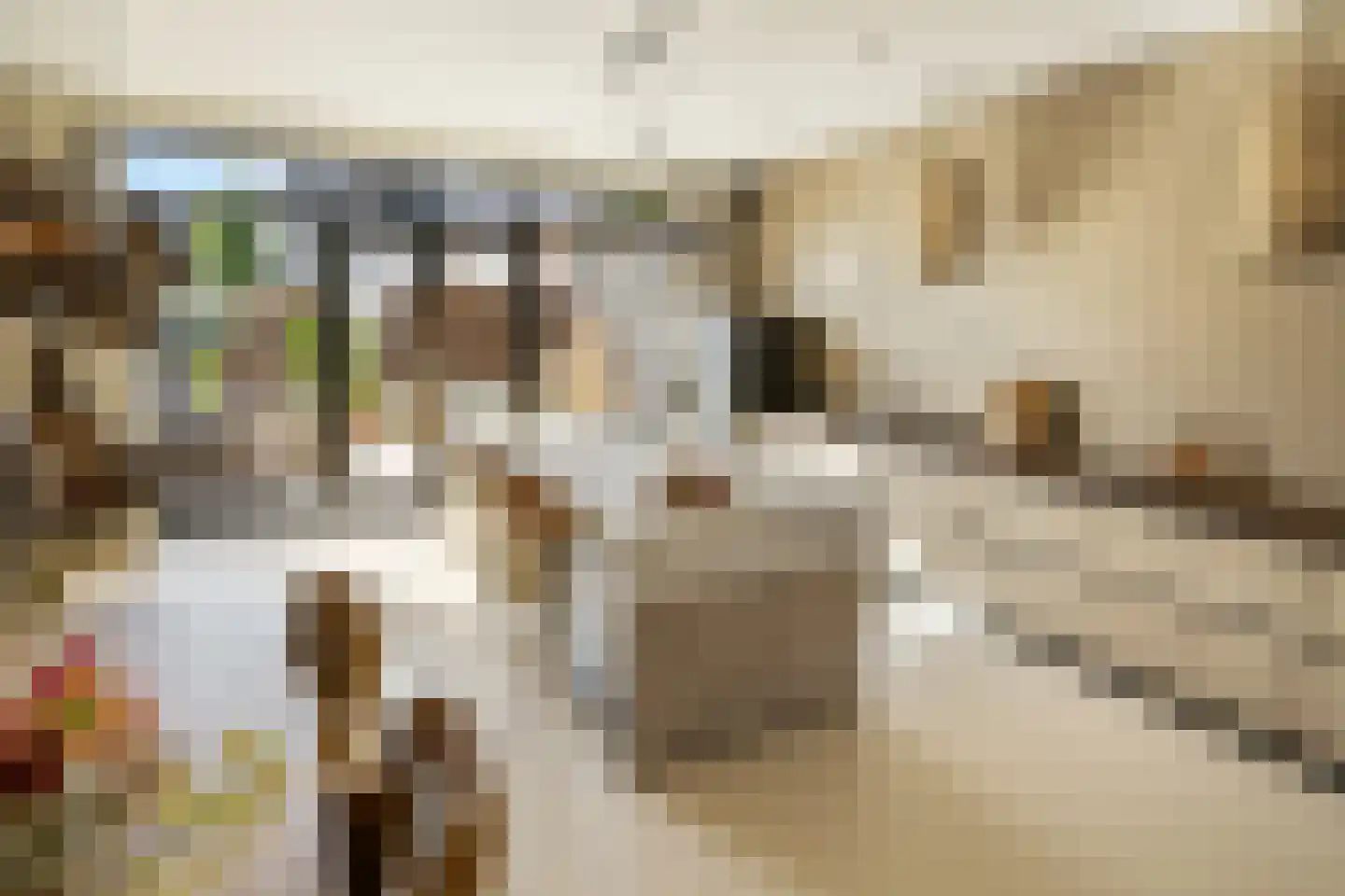 Groenevechtkade 12 Weesp thumbnail 13