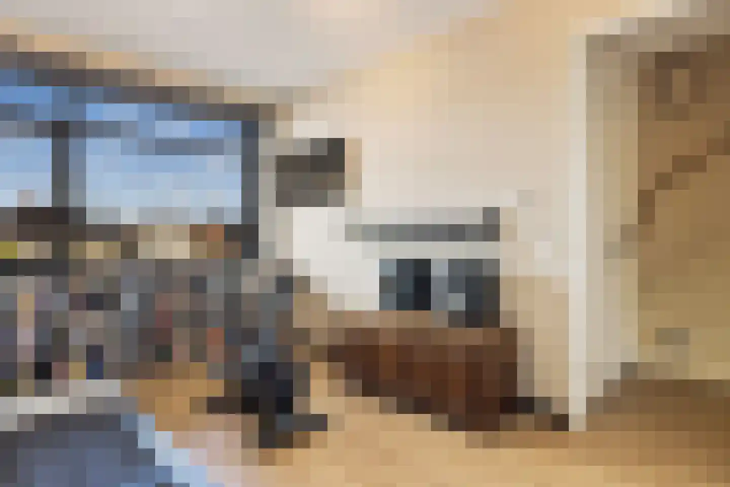 Groenevechtkade 12 Weesp thumbnail 32