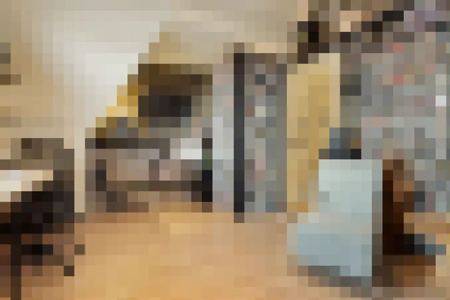 Groenevechtkade 12 Weesp thumbnail 37