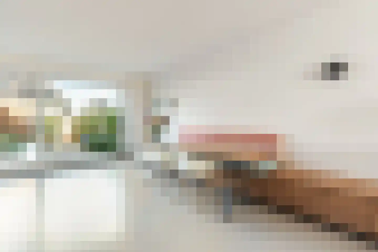 Groenevechtkade 22 Weesp thumbnail 11