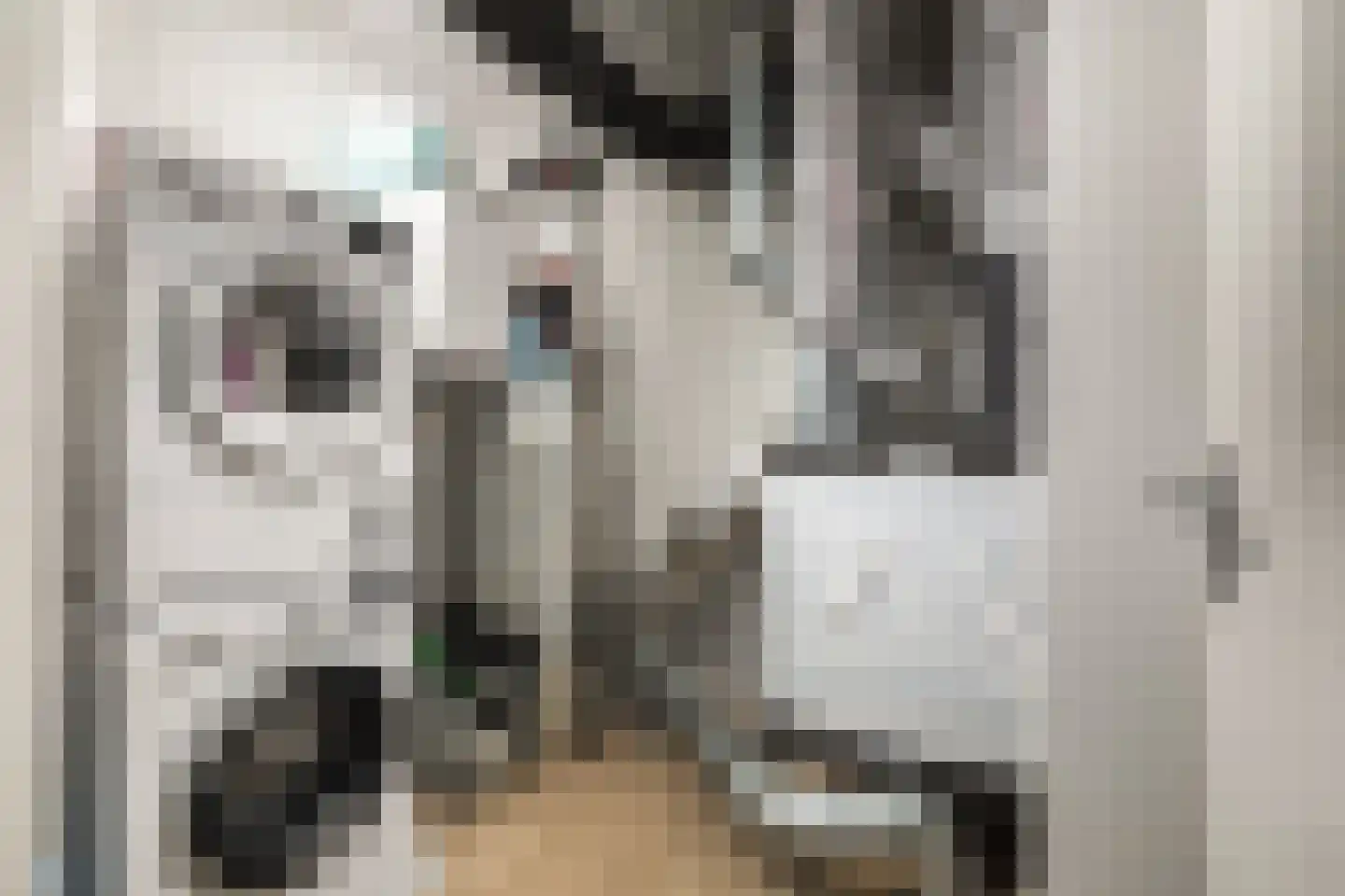 Groenevechtkade 22 Weesp thumbnail 35