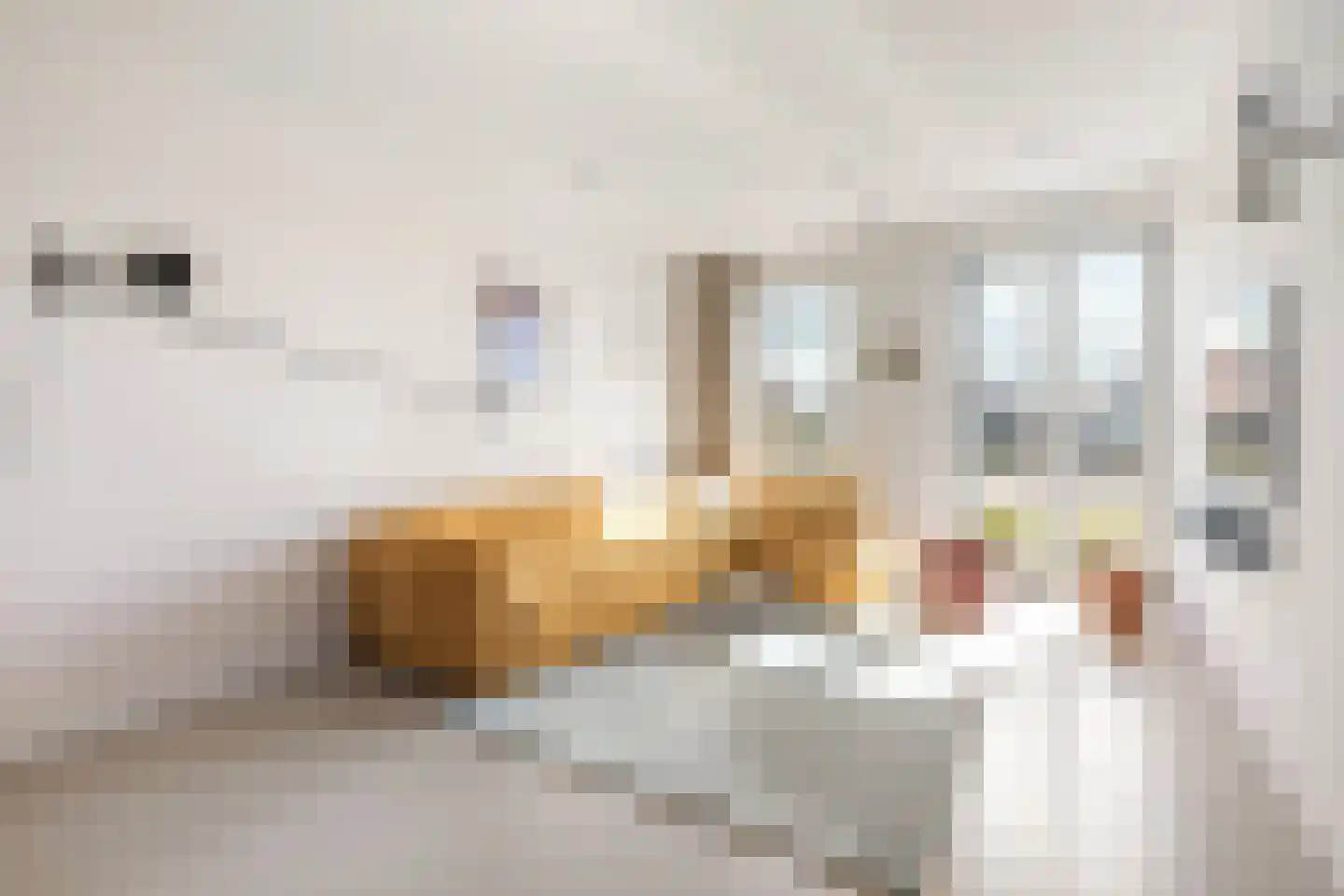 Groenevechtkade 22 Weesp thumbnail 7