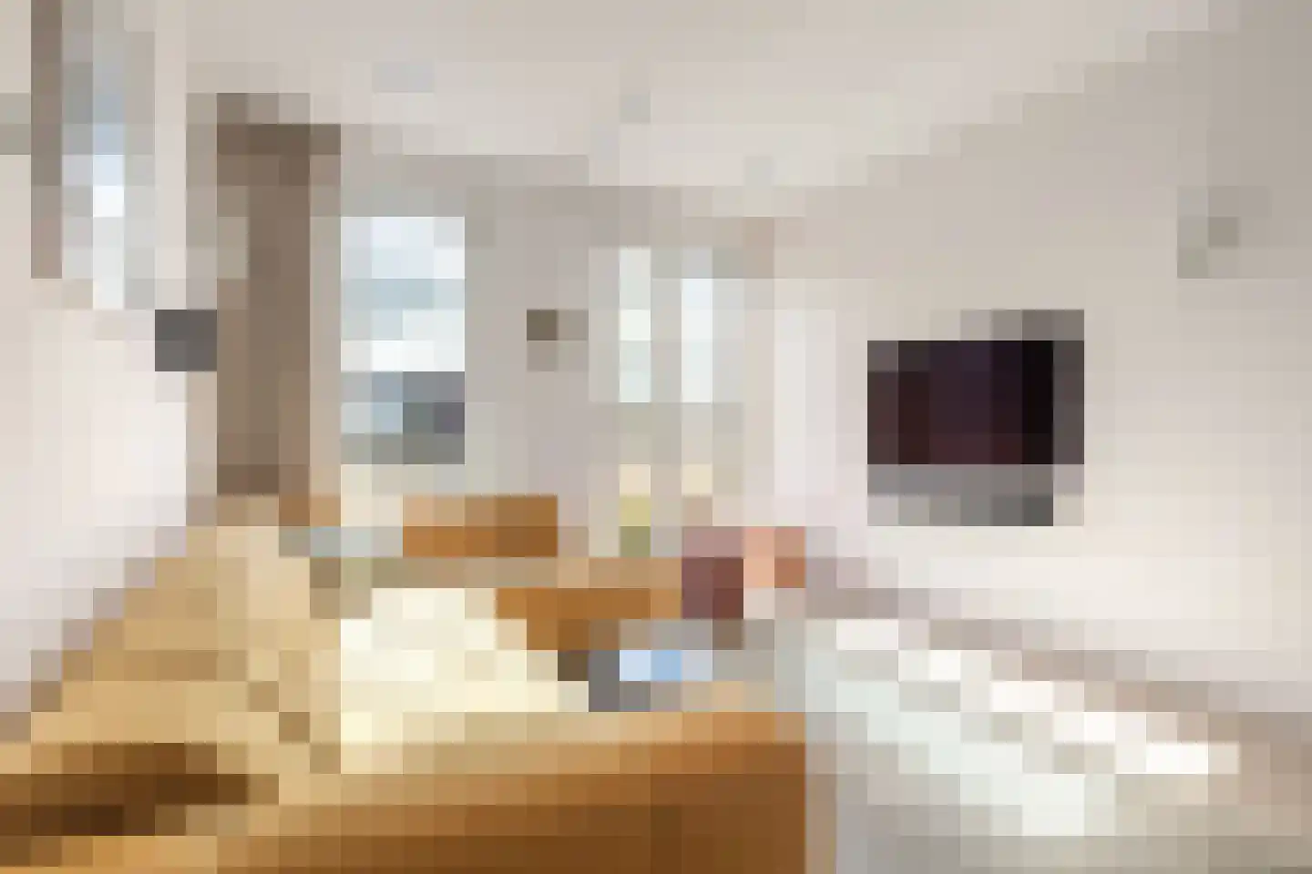 Groenevechtkade 22 Weesp thumbnail 8