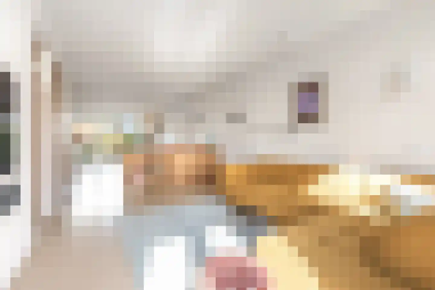 Groenevechtkade 22 Weesp thumbnail 9