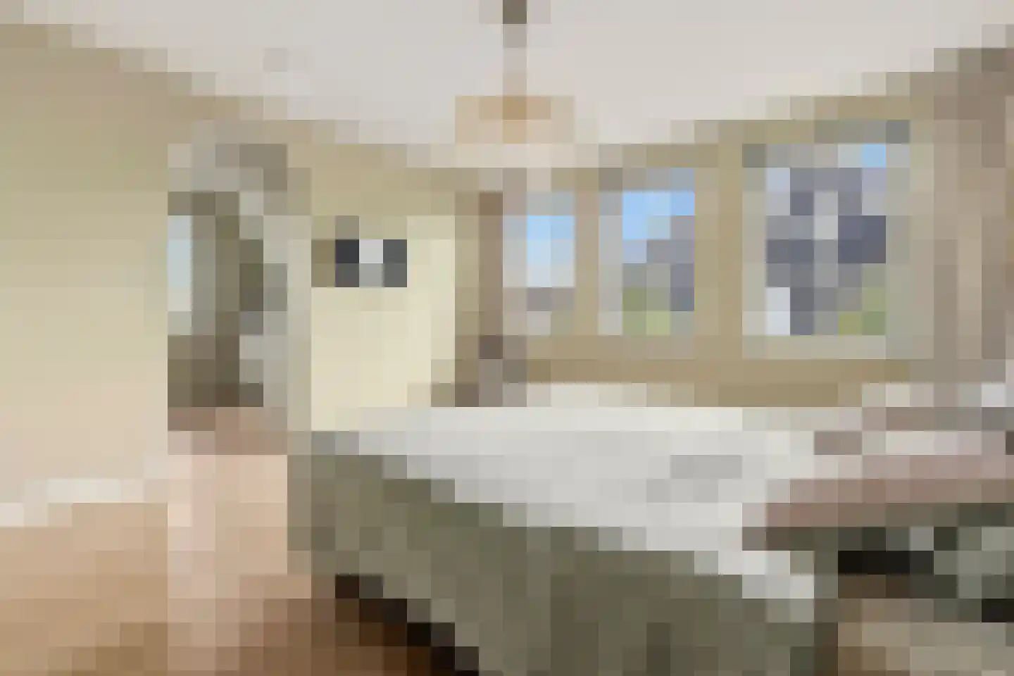 Groenevechtlaan 4 Weesp thumbnail 36