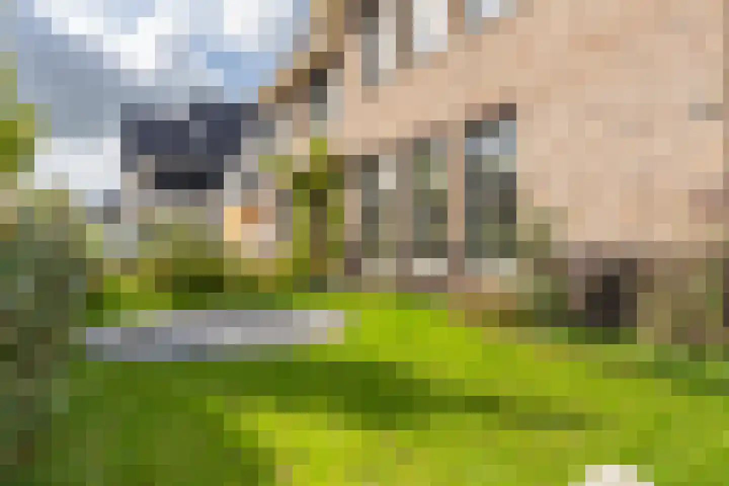 Groenevechtlaan 4 Weesp thumbnail 59