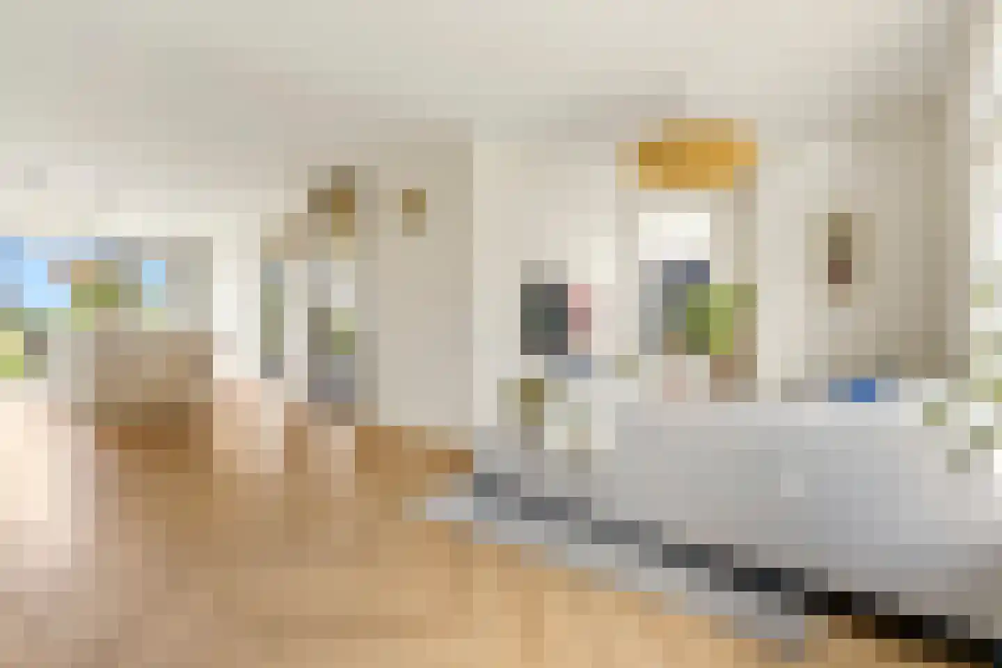 Groenevechtlaan 4 Weesp thumbnail 7