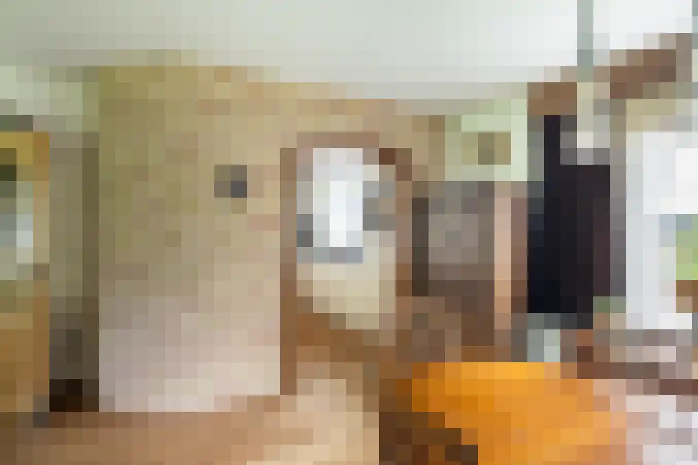 Groeneveld 1 A De Lier thumbnail 12