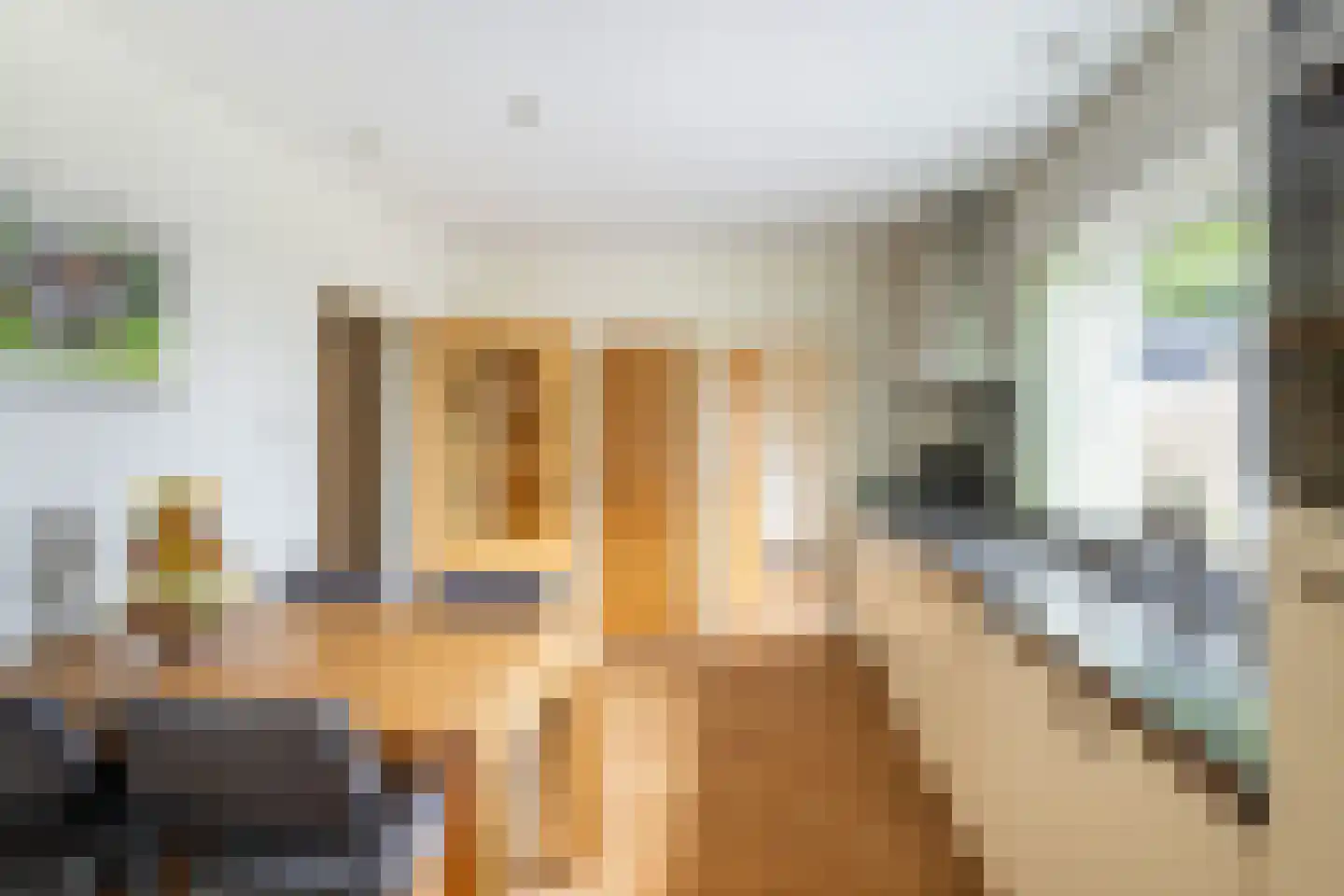 Groeneveld 1 A De Lier thumbnail 15
