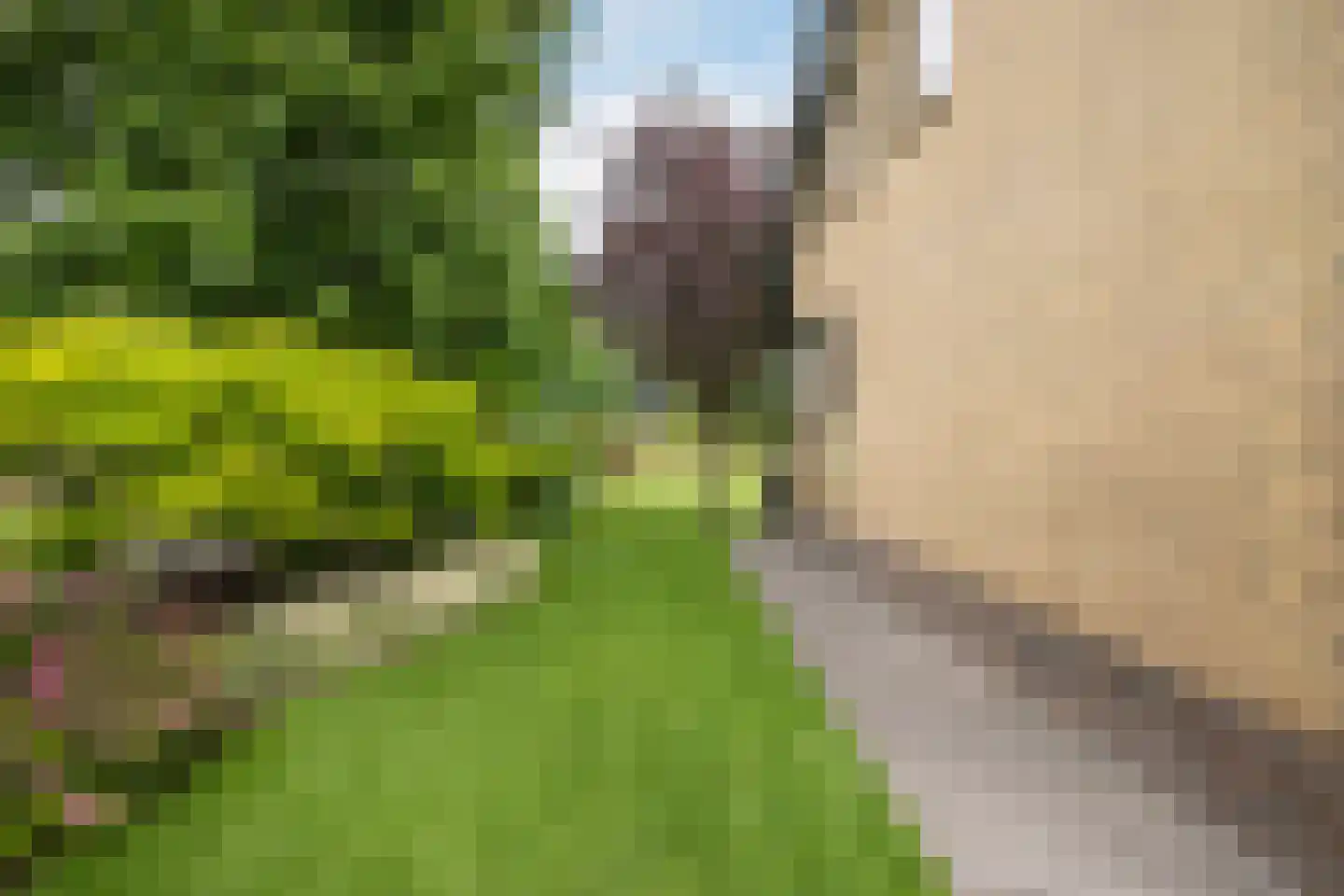 Groeneveld 1 A De Lier thumbnail 22