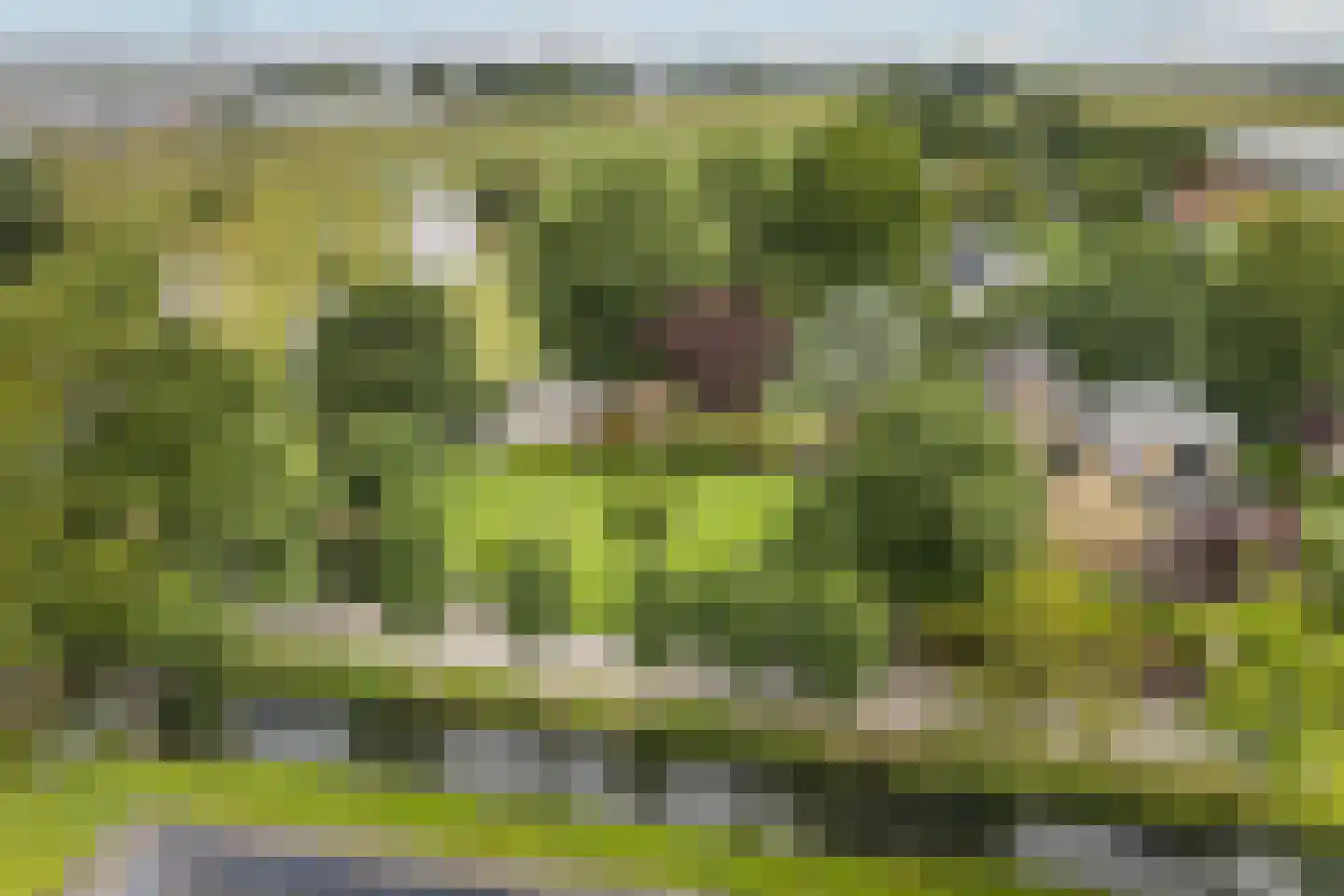 Groeneveld 1 A De Lier thumbnail 45