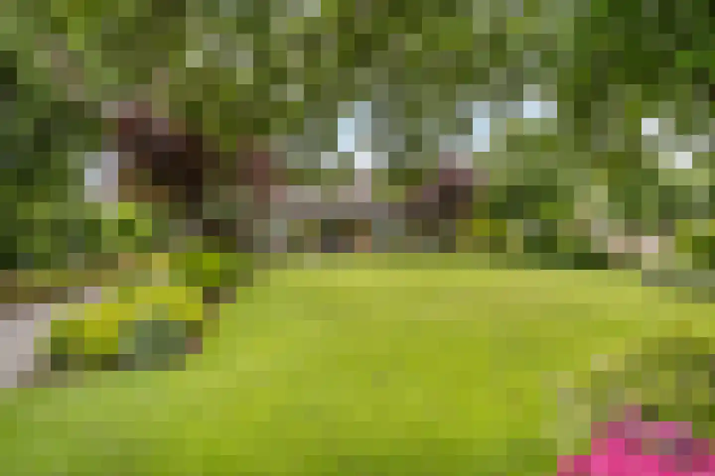 Groeneveld 1 A De Lier thumbnail 46