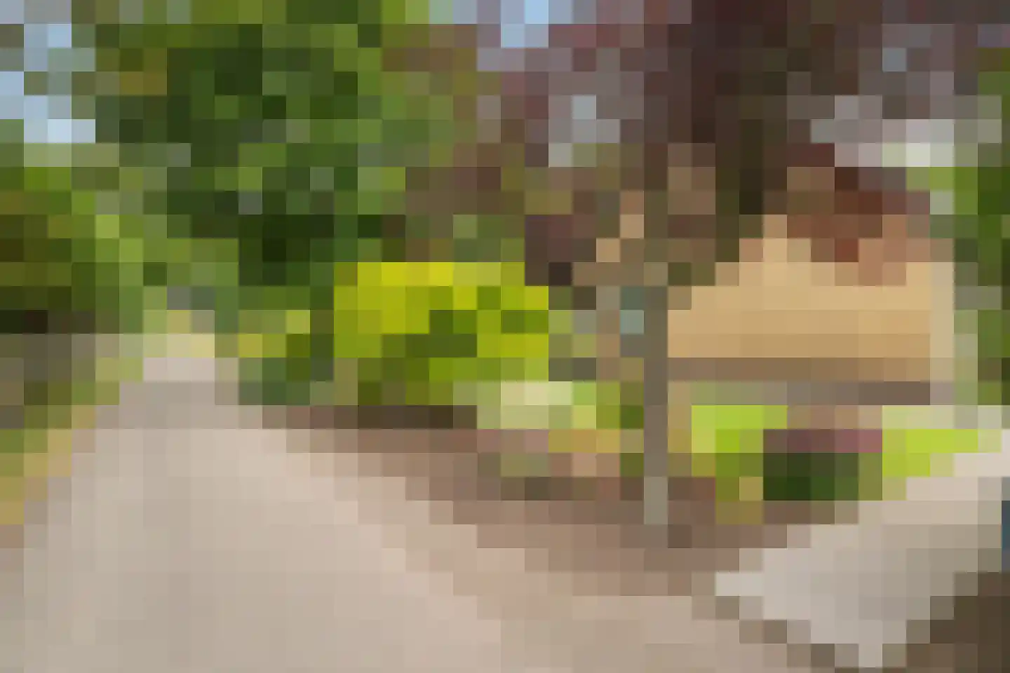 Groeneveld 1 A De Lier thumbnail 50