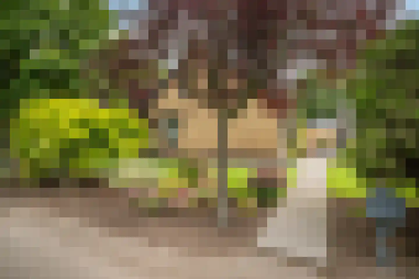 Groeneveld 1 A De Lier thumbnail 51