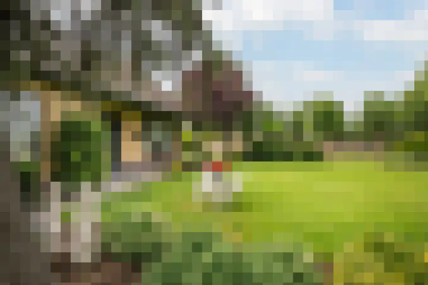 Groeneveld 1 A De Lier thumbnail 6