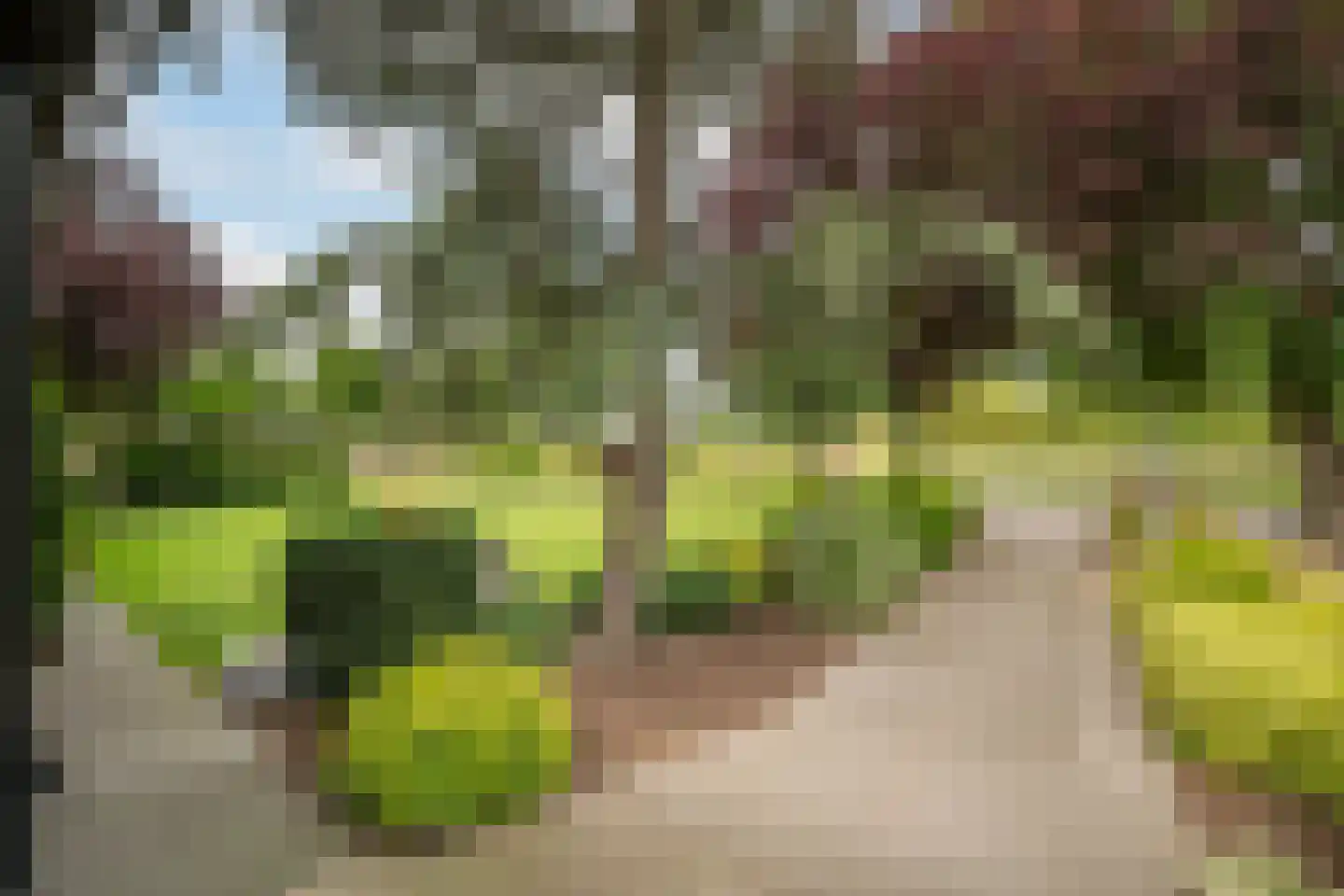 Groeneveld 1 A De Lier thumbnail 7
