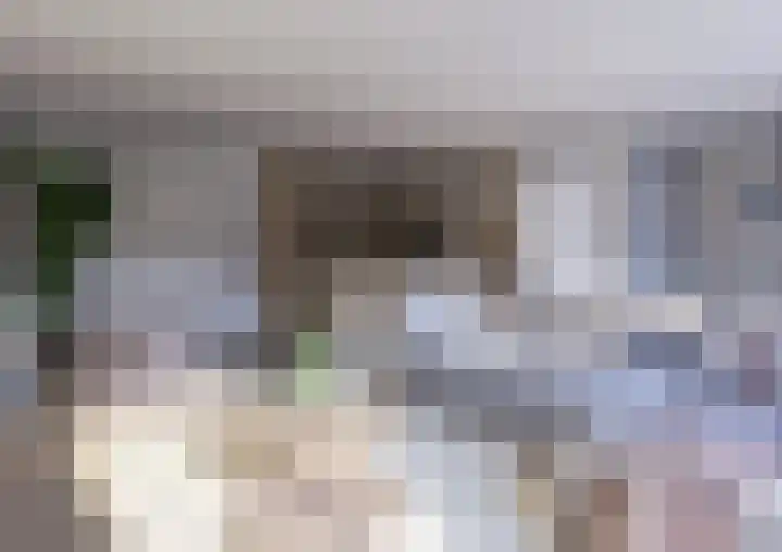 Groeneveld 1 B De Lier thumbnail 11
