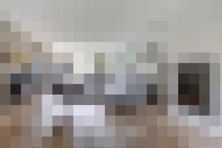 Groeneveld 1 B De Lier thumbnail 14