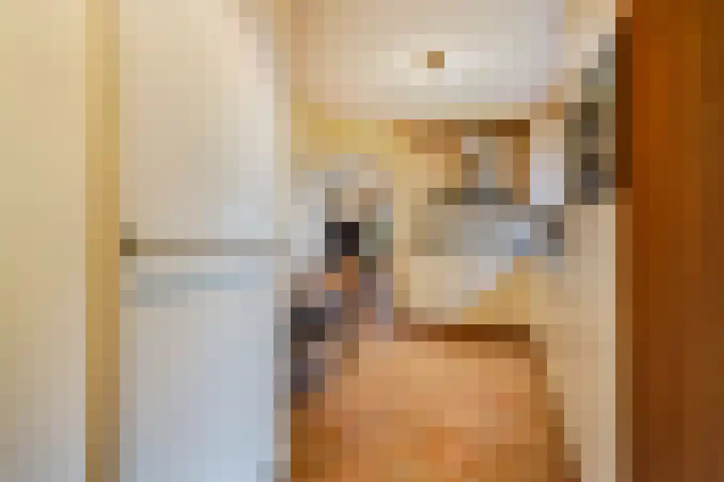 Groeneveld 1 B De Lier thumbnail 17