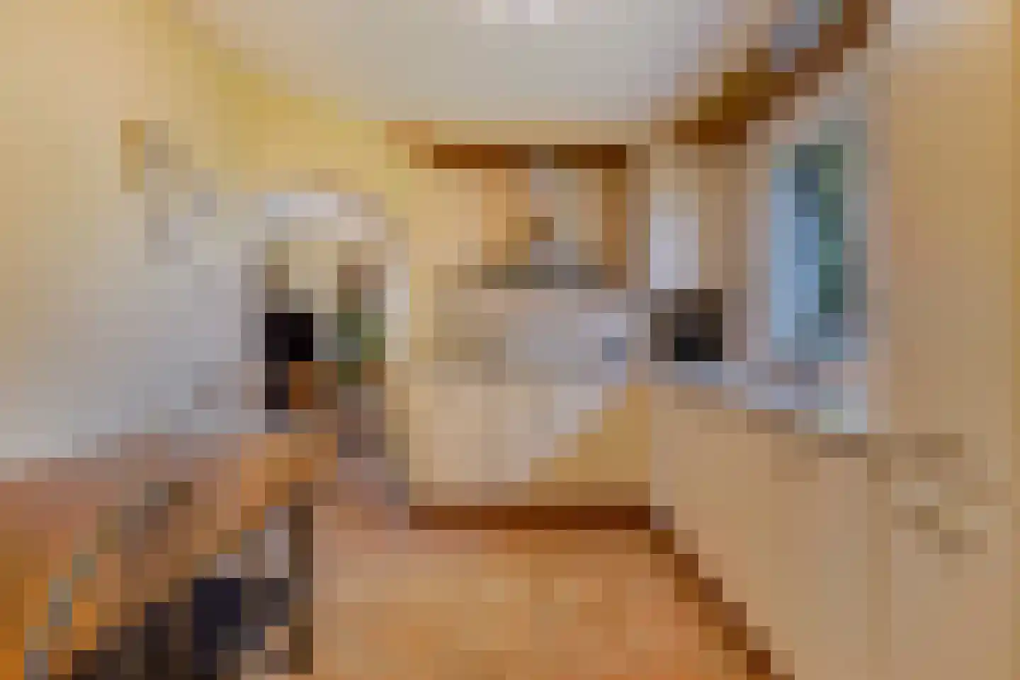 Groeneveld 1 B De Lier thumbnail 18